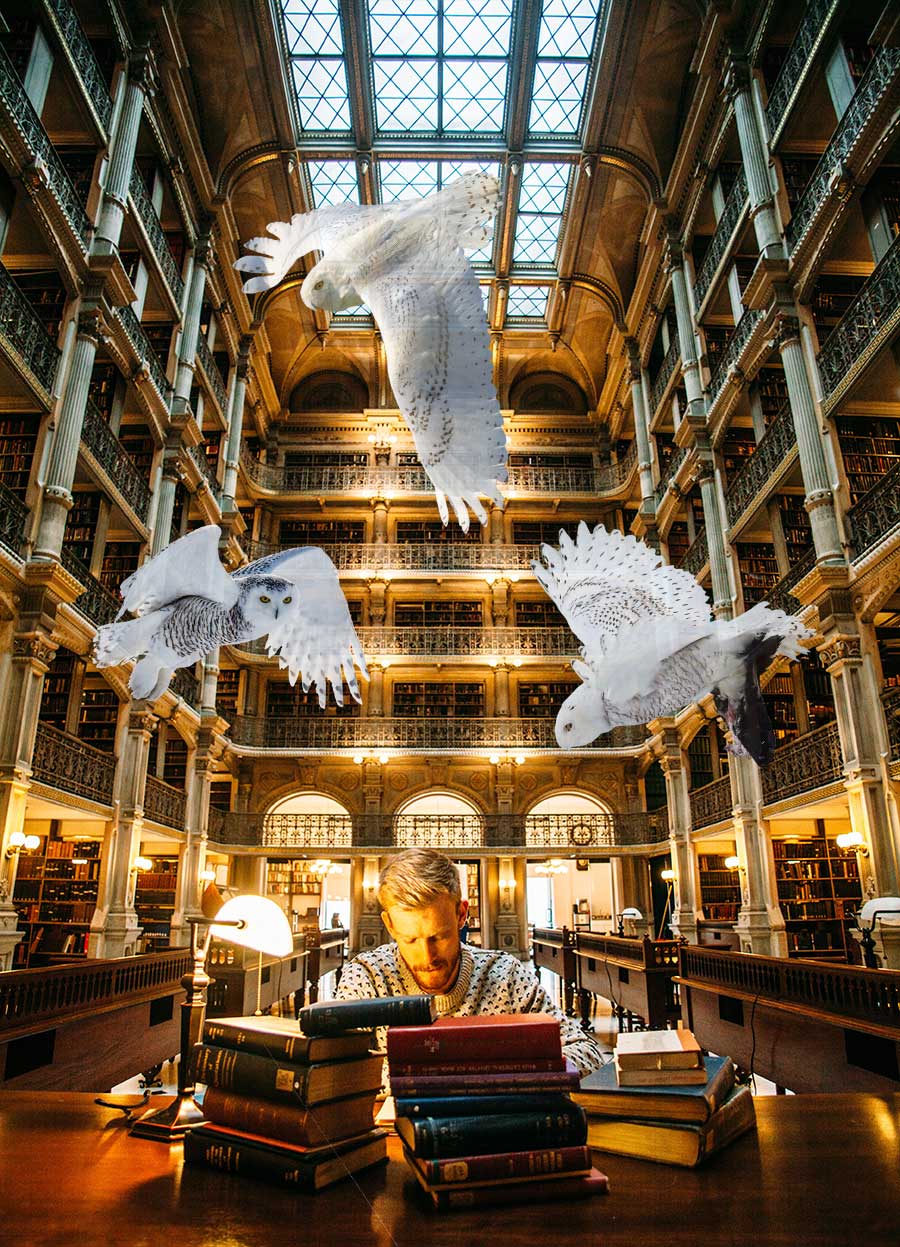 Dream School - this Jungian Life