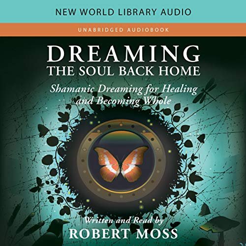 Shamanic Dream Interpretation Books